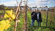 Steven Wedhorn und Christine Blass gehen lachend durch einen Wingert. Im Vordergrund sind Blätter und Weinstöcke, im Hintergrund Häuer zu sehen. 