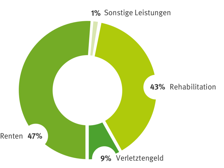 Entschädigungszahlungen der BGHW 2022 aufbereitet als Tortengrafik
