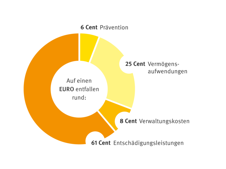 Scheiben Diagramm mit Prozentangaben der Ausgaben 2024