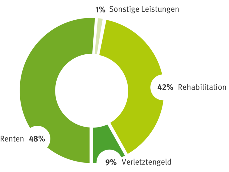 Entschädigungszahlungen der BGHW 2020 aufbereitet als Tortengrafik