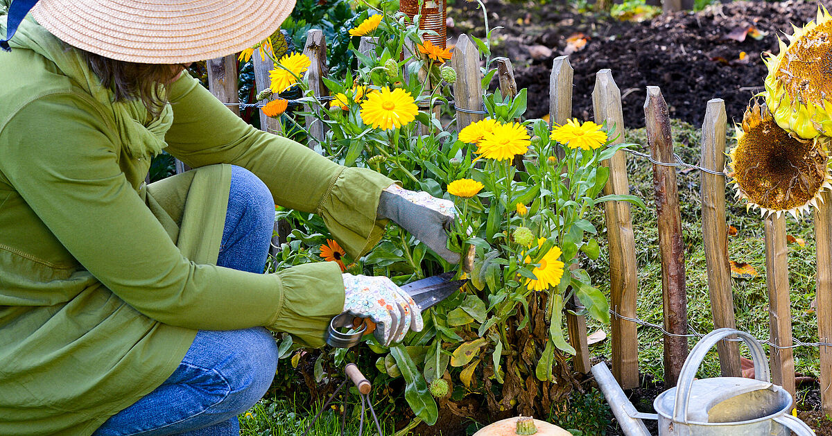 Wie Sie sicher im Garten arbeiten BGHW