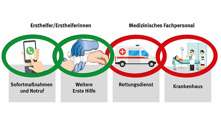 Vier Glieder der Rettungskette, die ineinandergreifen: Sofortmaßnahmen und Notruf sowie weitere Erste Hilfe durch Ersthelfende (zum Beispiel Verband anlegen), Rettungsdienst und die Behandlung im Krankenhaus erfolgen dann durch medizinisches Fachpersonal