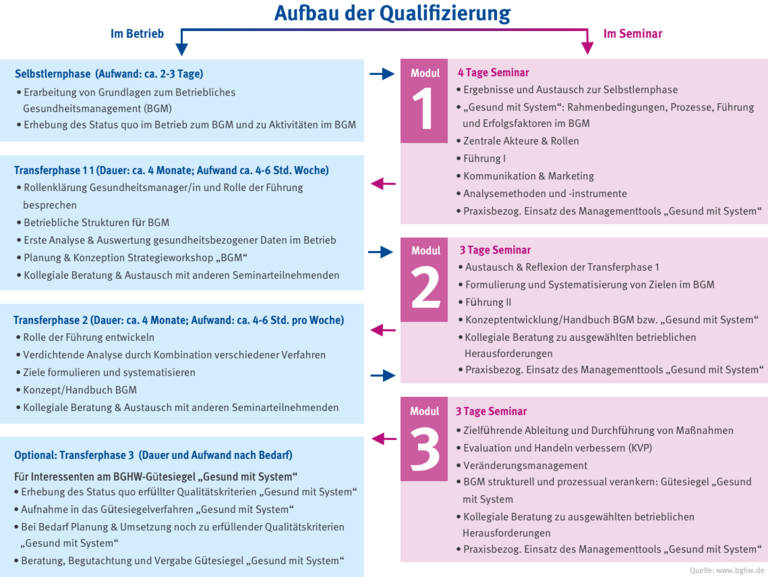 Grafische Aufbereitung der Weiterbildung zum betrieblichen Gesundheitsmanager