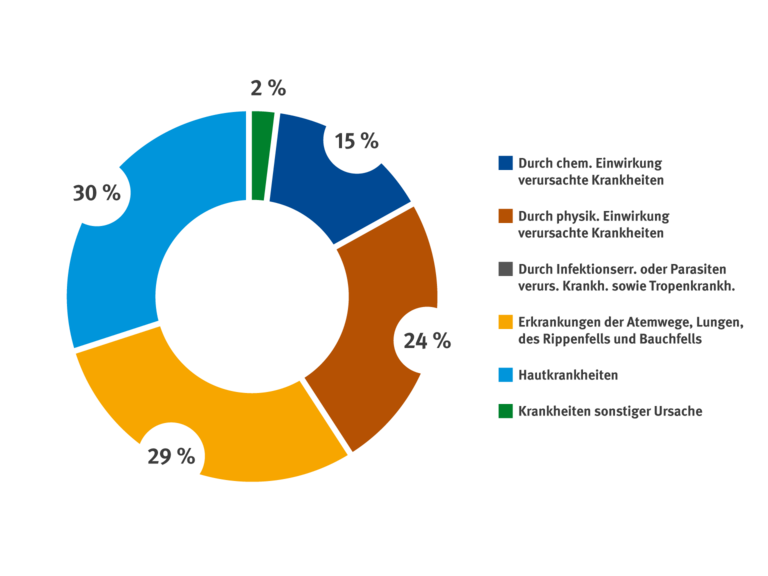 Scheiben Diagramm mit Prozentangaben der Berufskrankheiten Renten 2024