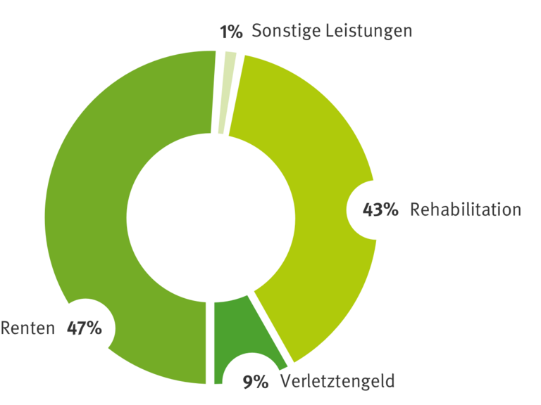 Entschädigungszahlungen der BGHW 2019 aufbereitet als Tortengrafik