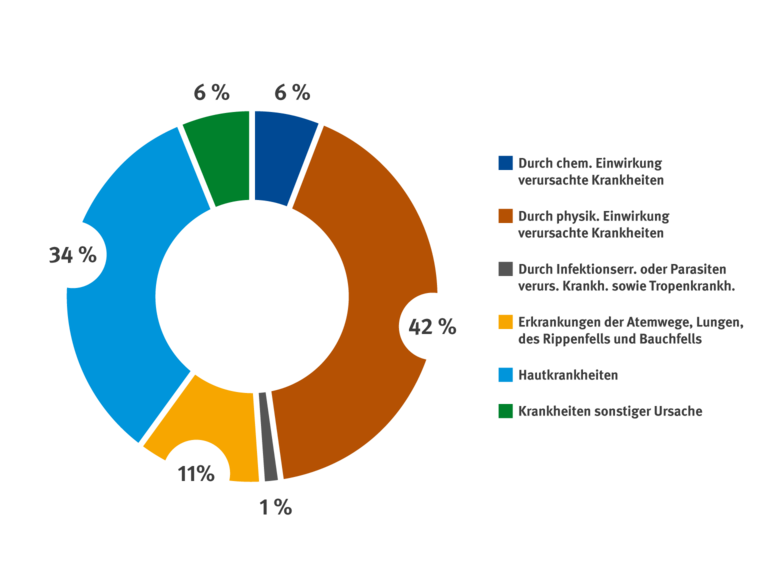Scheiben Diagramm mit Prozentangaben der Berufskrankheiten Verdachtsanzeigen 2024